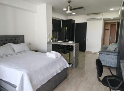 MODERNA APARTA-SUITE CON VISTA AL LAGO