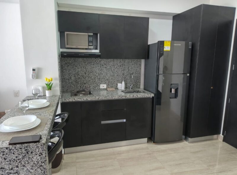 MODERNA APARTA-SUITE CON VISTA AL LAGO