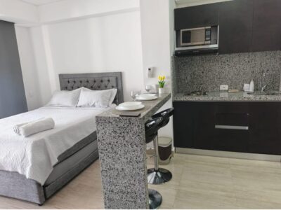 MODERNA APARTA-SUITE CON VISTA AL LAGO