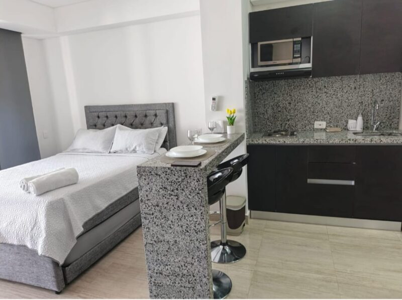 MODERNA APARTA-SUITE CON VISTA AL LAGO