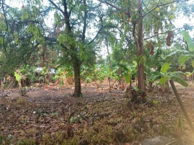 DOS LOTES EN VENTA – RIMINI, KM 15, SAN BERNARDO DEL VIENTO, CÓRDOBA
