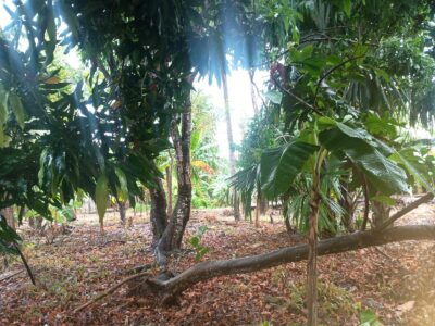 DOS LOTES EN VENTA – RIMINI, KM 15, SAN BERNARDO DEL VIENTO, CÓRDOBA
